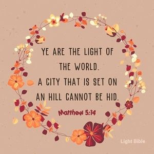 Meet your Posher, Lacunya